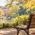 秋の公園、木の下の空いたベンチ