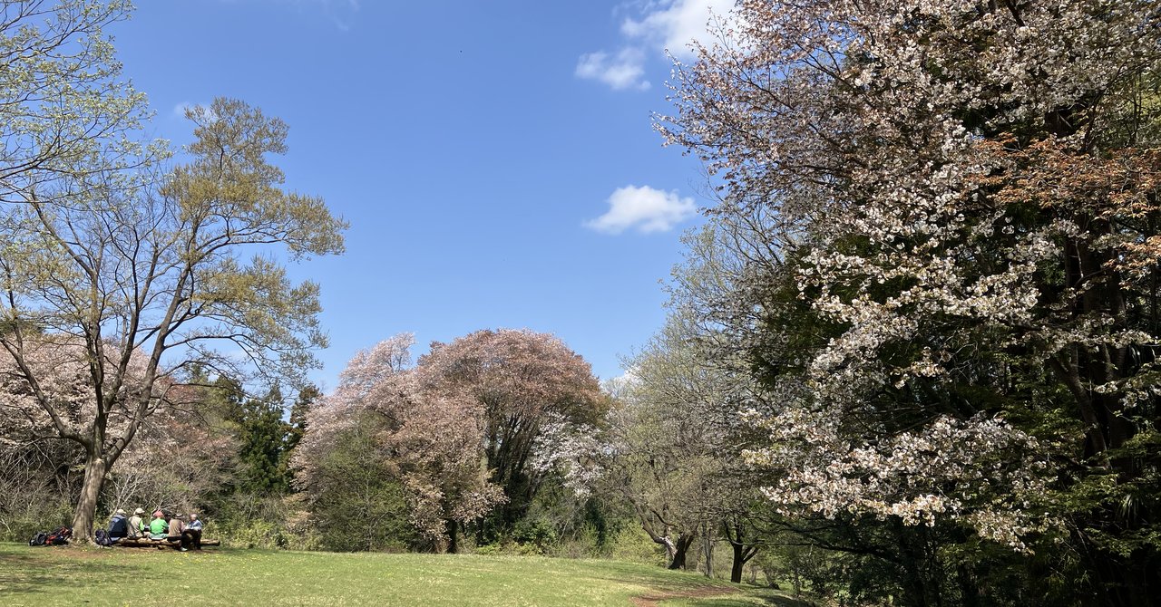 桜の広場