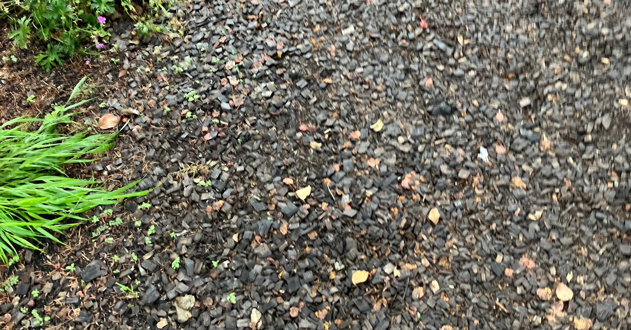 砂利と落ち葉